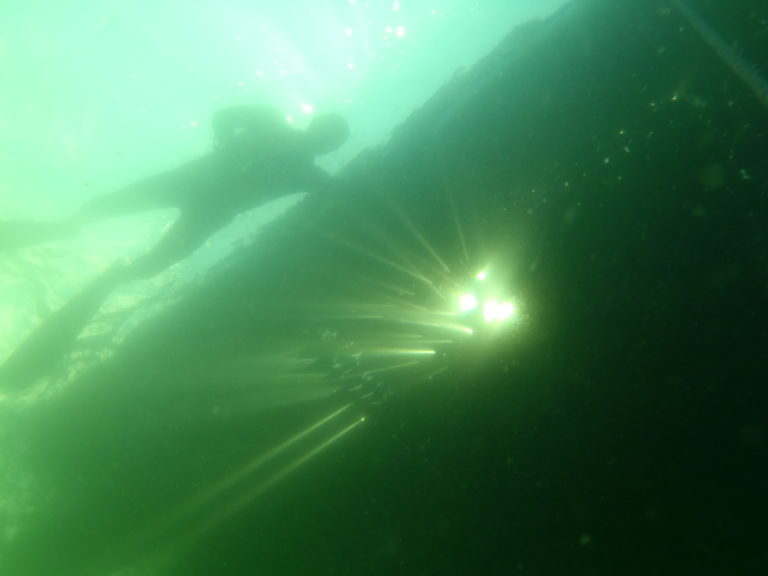 Surface seen from underwater with silouhettes.