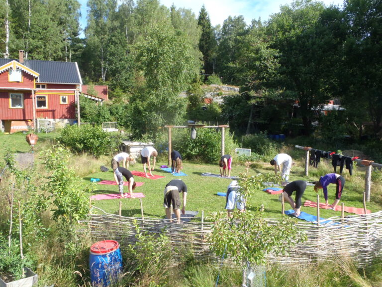 Yoga retreat in Swedish nature