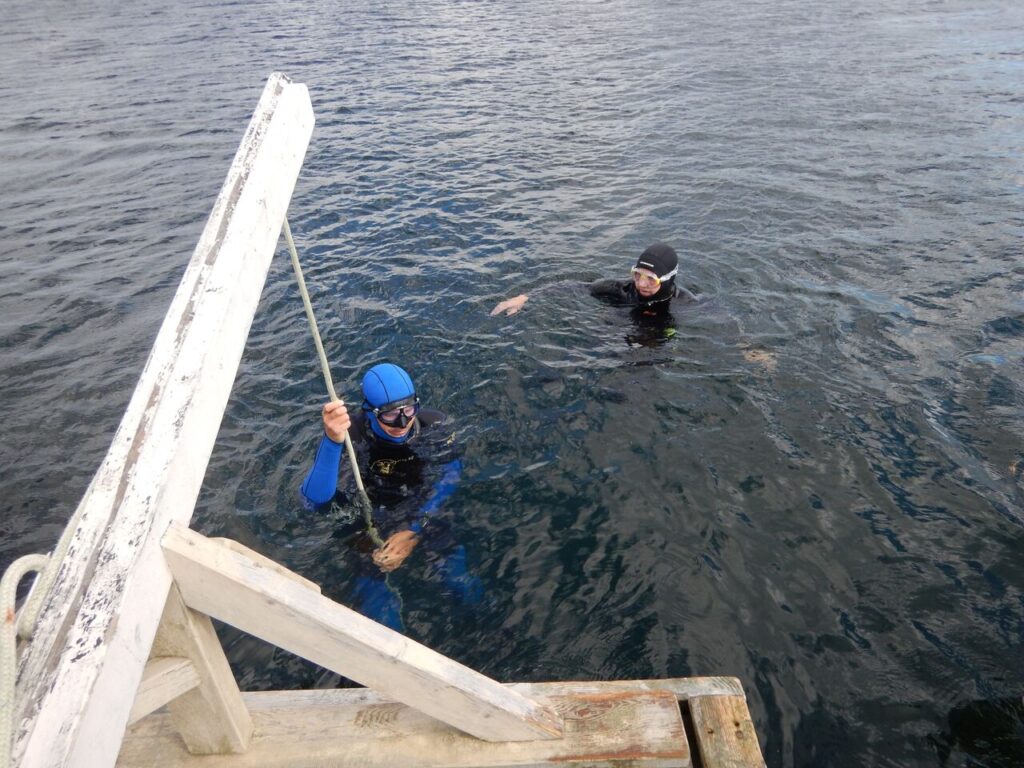 freedivers in the sea