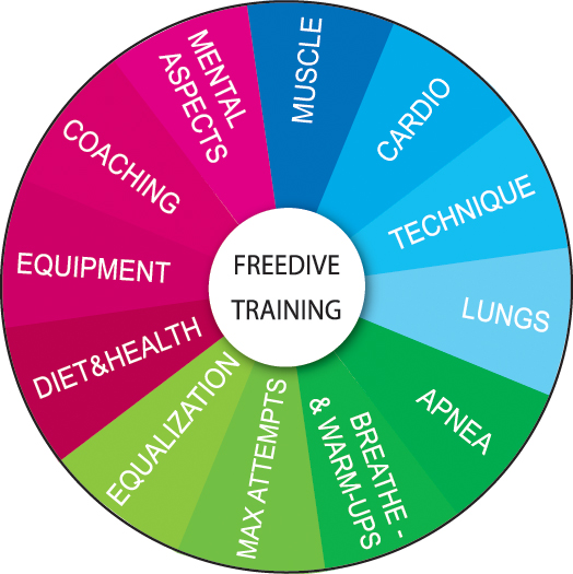 freediving training circle