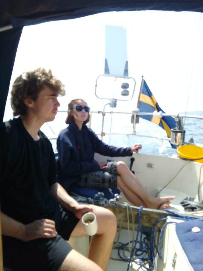 Social steering