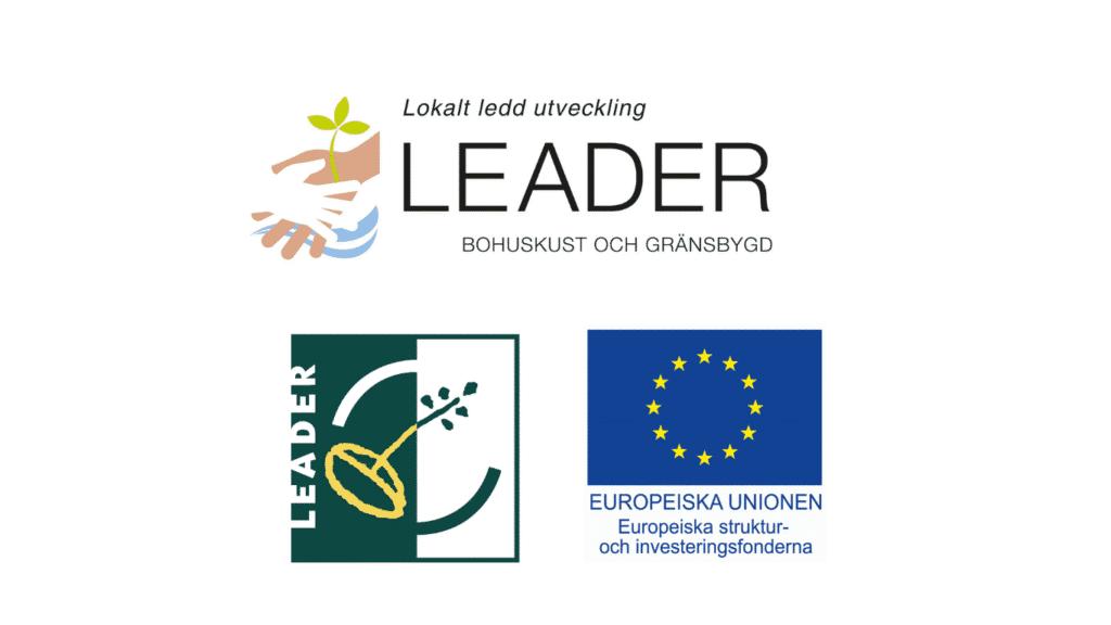 Logo Leader Bohuslän